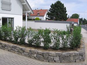 Pflanzeinfassung mit Natursteinen