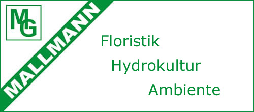 Floristik - Hydrokultur - Ambiente MALLMANN